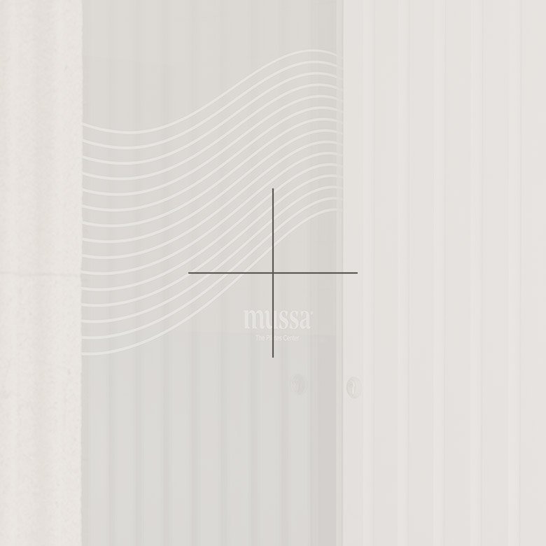 proyectos_mussa_on